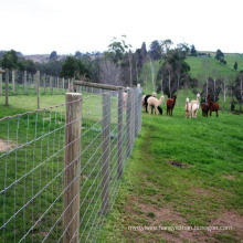 Factory Direct Sale Galvanized grassland fencing / field fencing ( ISO9001-2008)